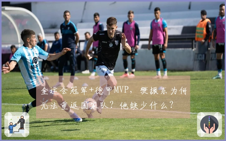 全运会冠军+德甲MVP，樊振东为何无法重返国家队？他缺少什么？