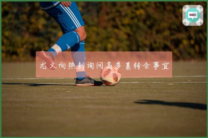 尤文向热刺询问乌多基转会事宜